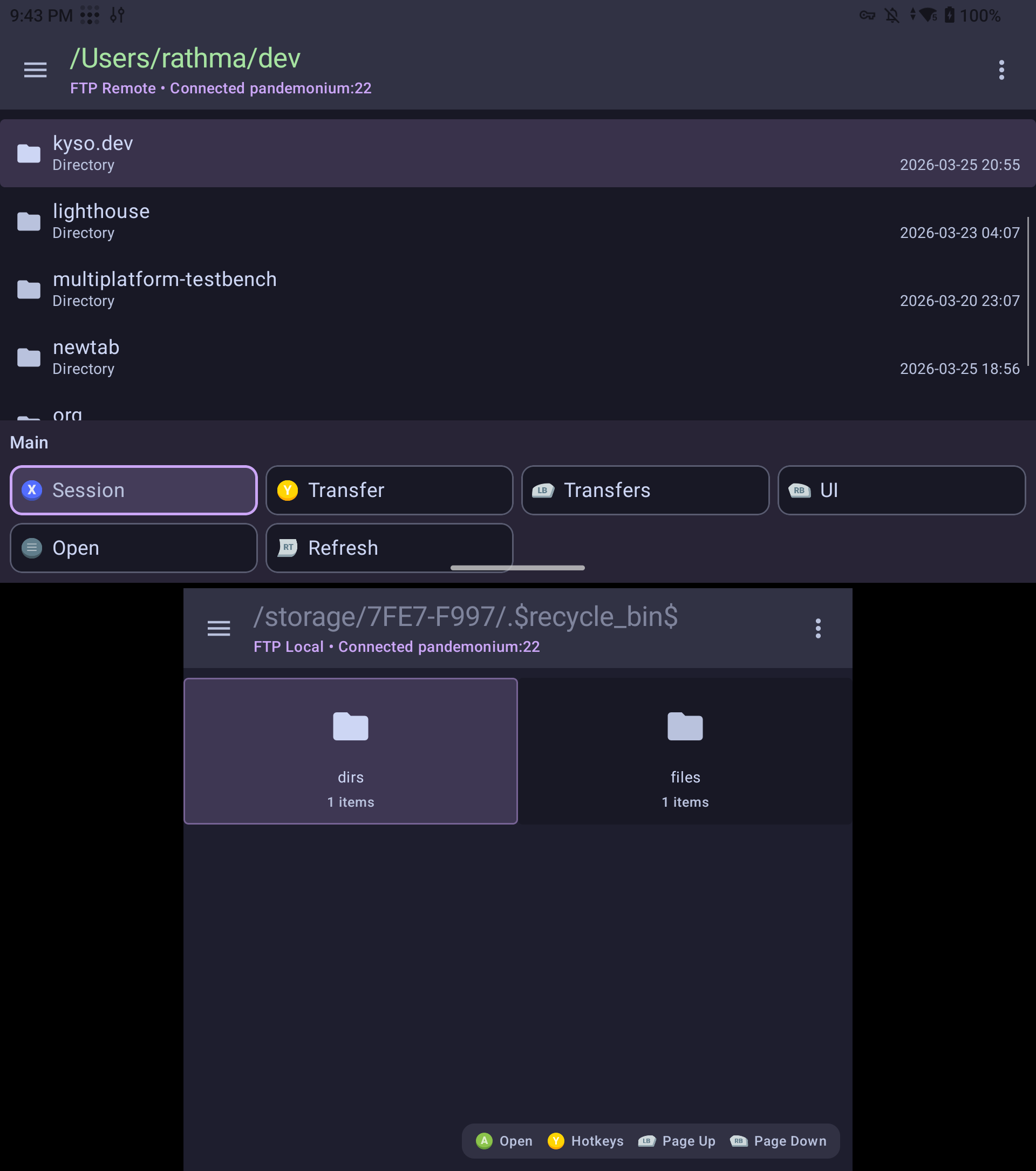 FTP Browser screenshot