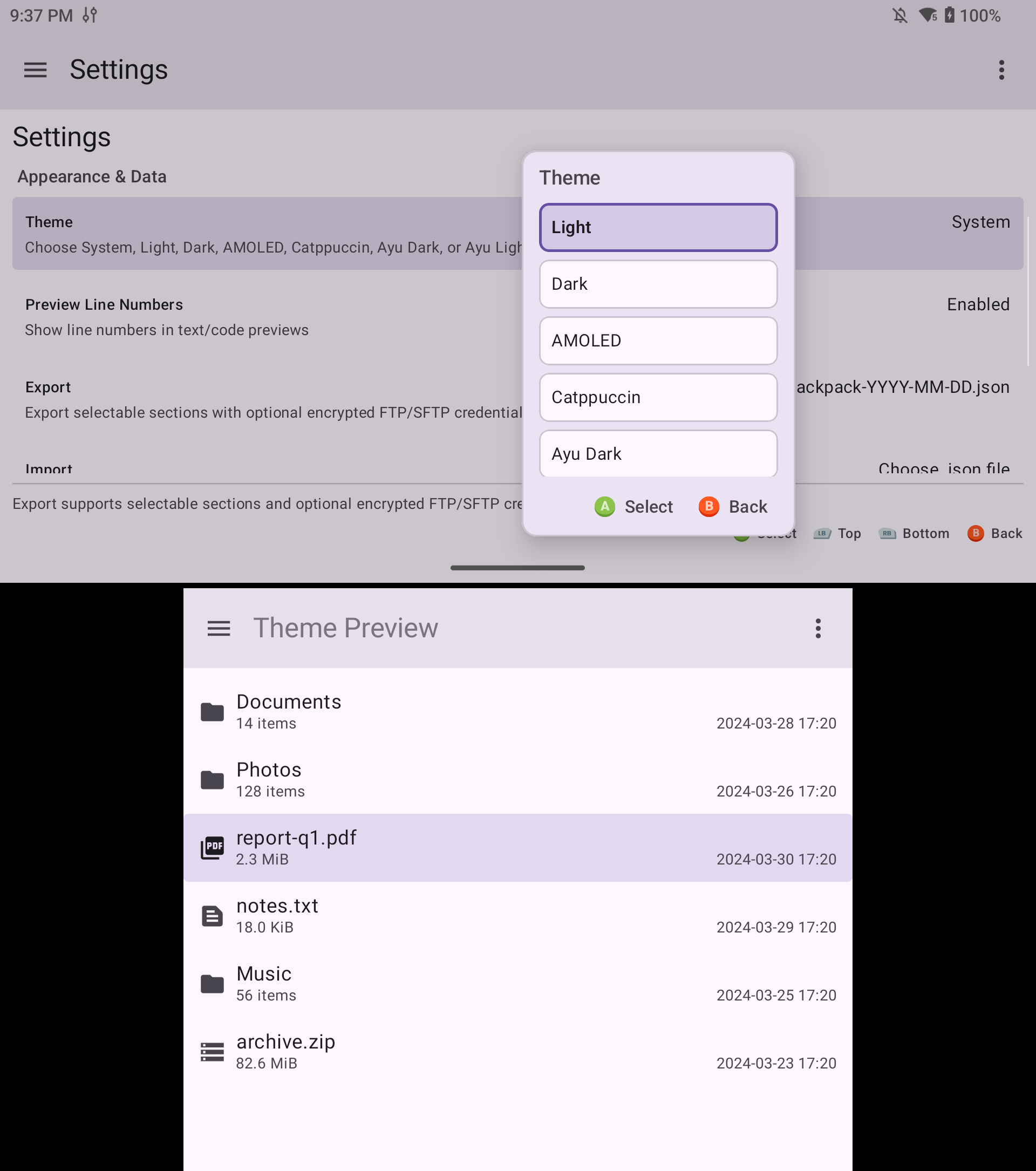 Light Theme screenshot